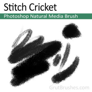 Photoshop Natural Media for digital artists 'Stitch Cricket'